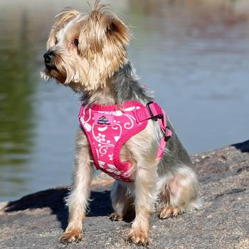 Wrap and Snap Choke Free Dog Harness - Pink Hibiscus