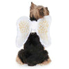 Zack and Zoey Angel Wing Dog Harness Costume