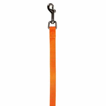 Zack and Zoey Nylon Dog Leash - Orange