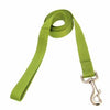 Zack and Zoey Nylon Dog Leash - Parrot Green