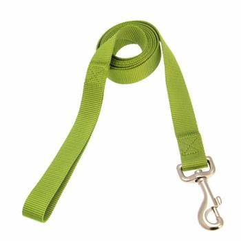 Zack and Zoey Nylon Dog Leash - Parrot Green