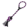 Zanies Tennis Toss Dog Toy - Purple