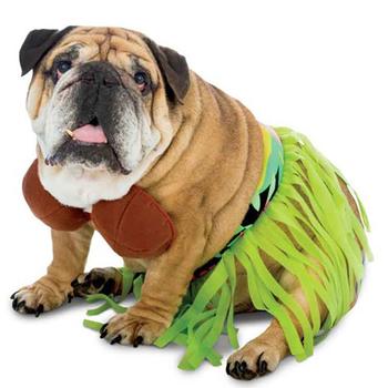 Zelda Hula Dog Costume