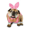 Zelda Hunny Bunny Halloween Dog Costume