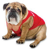 Zelda Life Guard Halloween Dog Costume