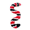 Zippy Snake Dog Toy - Sidewinder